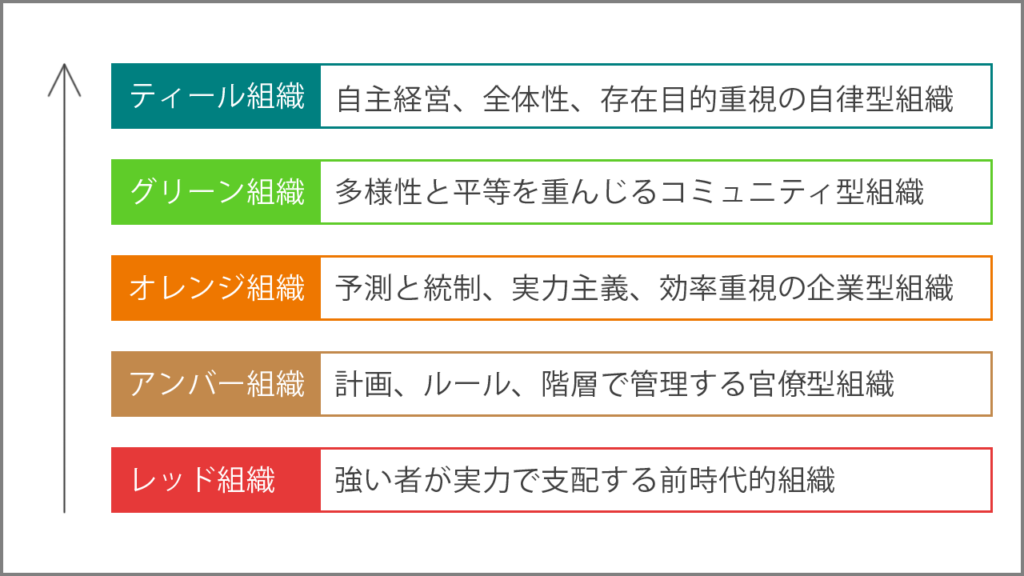 組織の発達段階